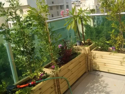 גג בכפס בתום הביצוע פנטהאוס